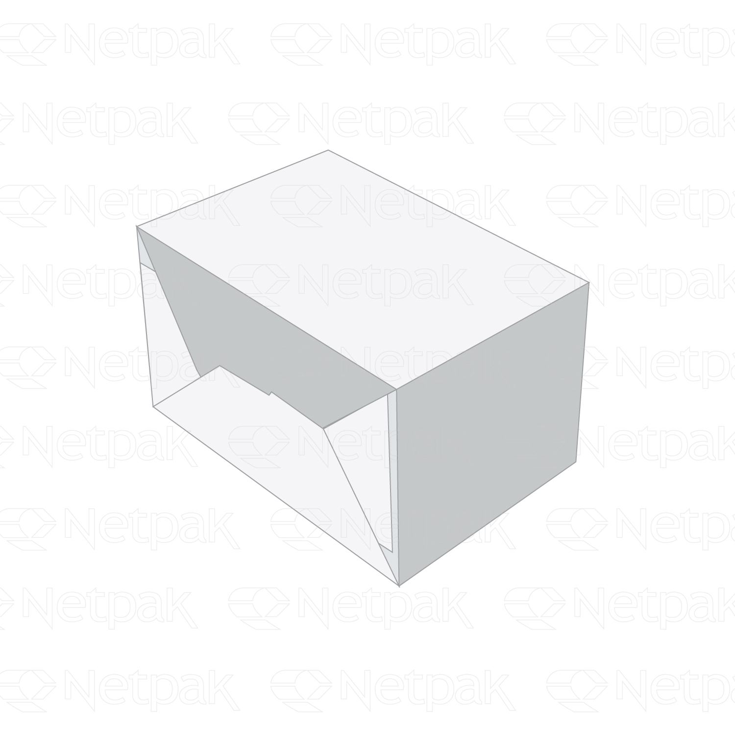 Box types - Netpak packaging